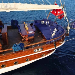 Salamander27