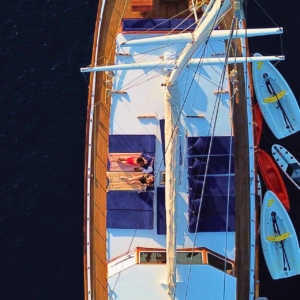 Salamander31