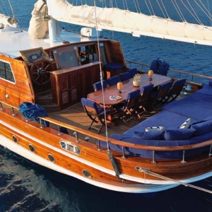 Salamander43