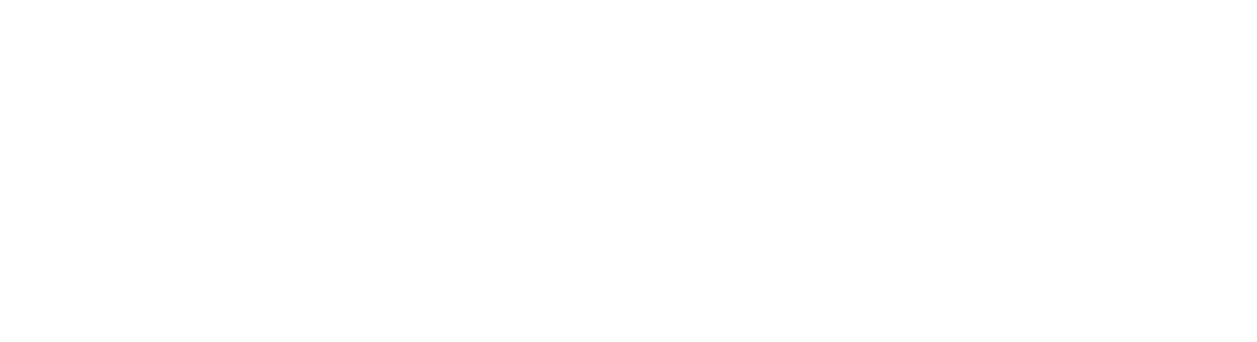 Salamander Voyages Logo