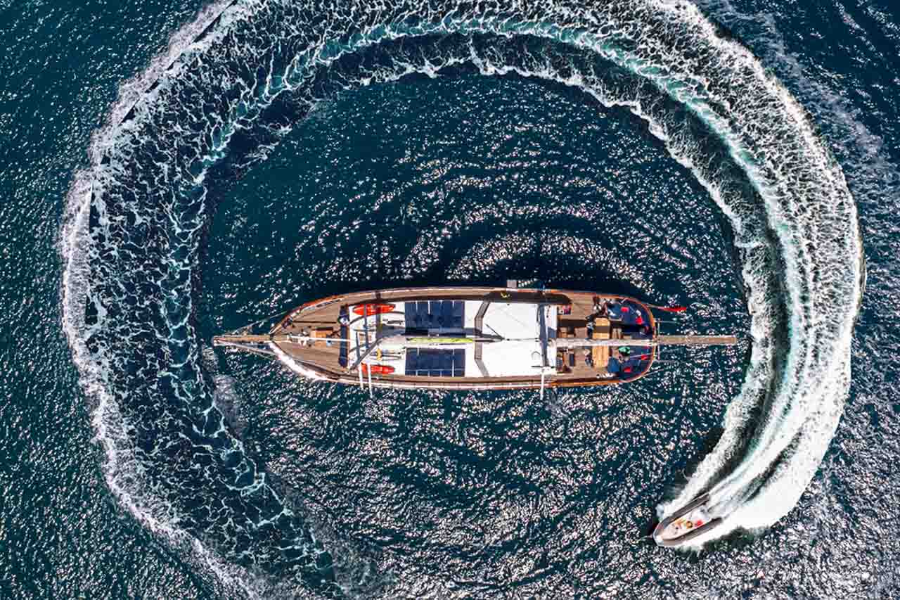 Salamander__From_The_Sky