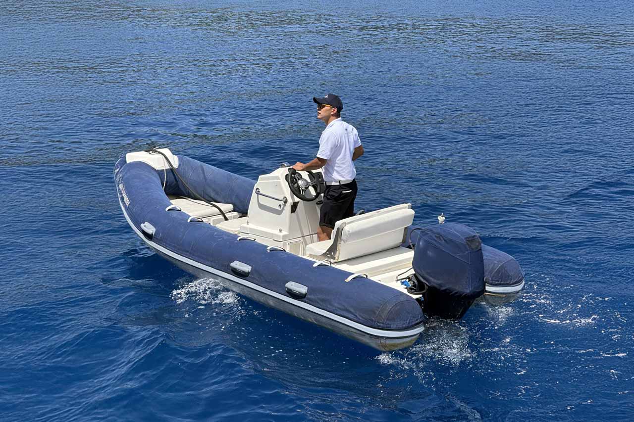 Tender_To_Salamander